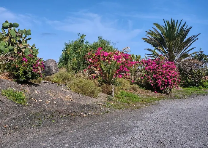 Casa Atlantida-quiet House With Balcony And Fast Wifi Semesterbostad *